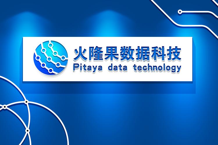 互联网数据服务与物联数据处理 现代信息技术服务的核心领域
